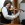 Violinensolist Elias David Moncado (11 Jahre alt)